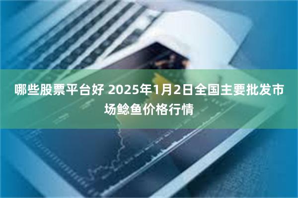 哪些股票平台好 2025年1月2日全國主要批發市場鯰魚價格行情