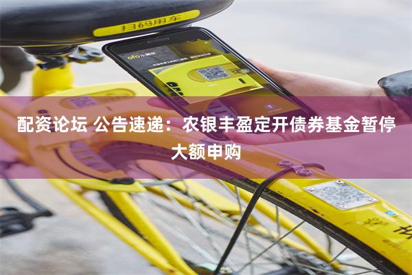 配資論壇 公告速遞：農銀豐盈定開債券基金暫停大額申購