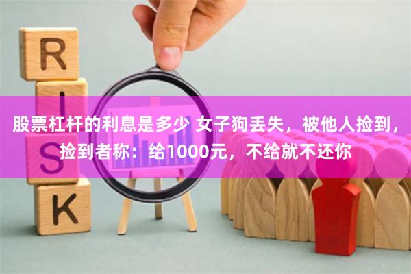 股票杠杆的利息是多少 女子狗丟失，被他人撿到，撿到者稱：給1000元，不給就不還你