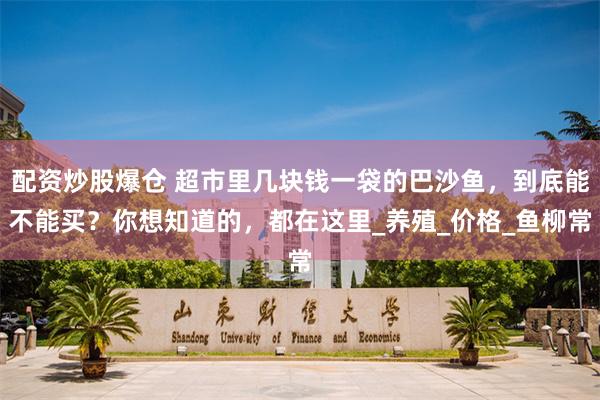 配資炒股爆倉 超市裏幾塊錢一袋的巴沙魚，到底能不能買？你想知道的，都在這裏_養殖_價格_魚柳常